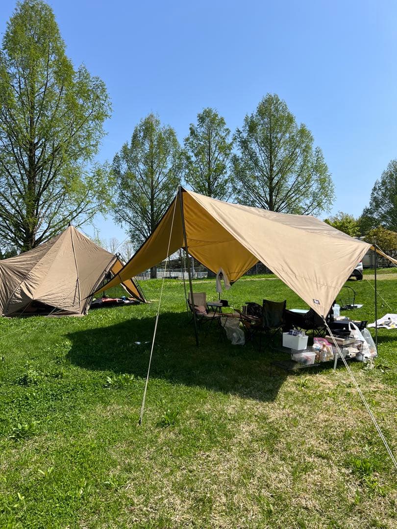 ゼインアーツ ゼクーM 【おまけ付き】