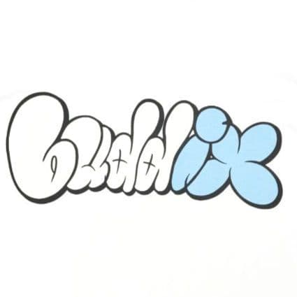 Signature Logo Different Tシャツ FANTASTICS