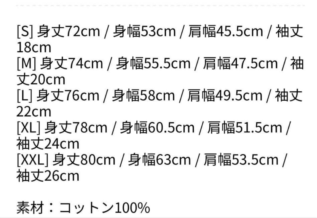 入場者限定品 レディ・ガガ ツアー Tシャツ 入場者特典 リストバンド付き