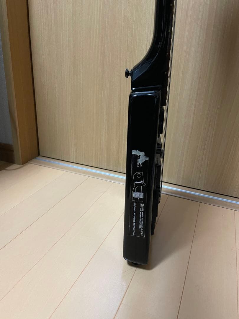 ギター STEINBERGER Spirit