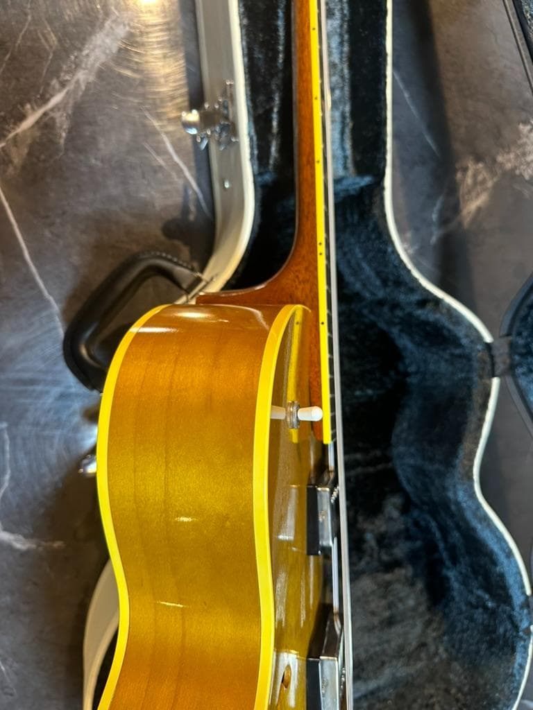 ギター KING SNAKE Curtis / H Deep Body