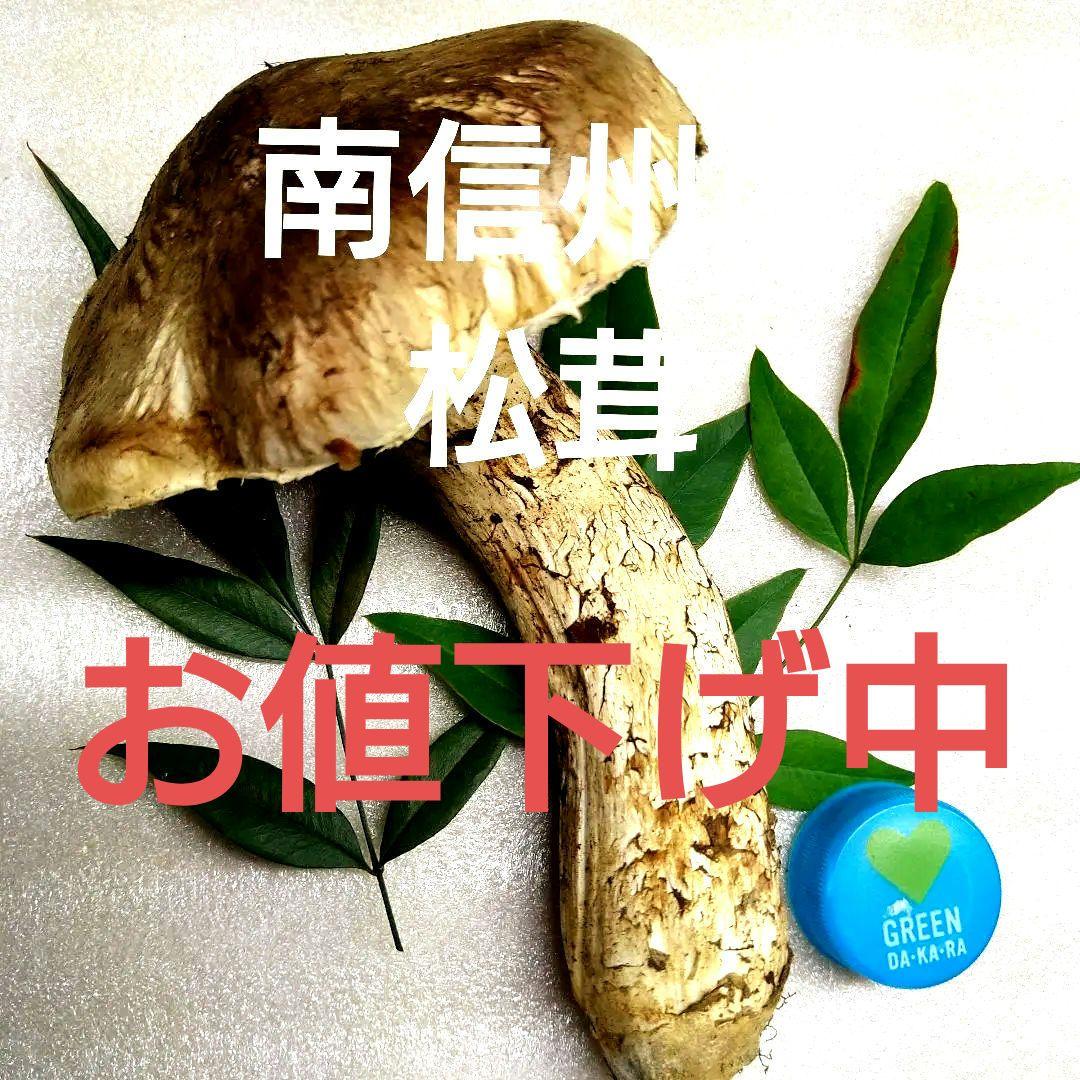 47.南信州産松茸約120g