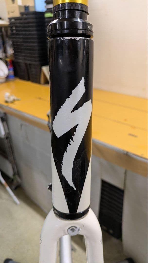 アレーエリート　サイズ56cm