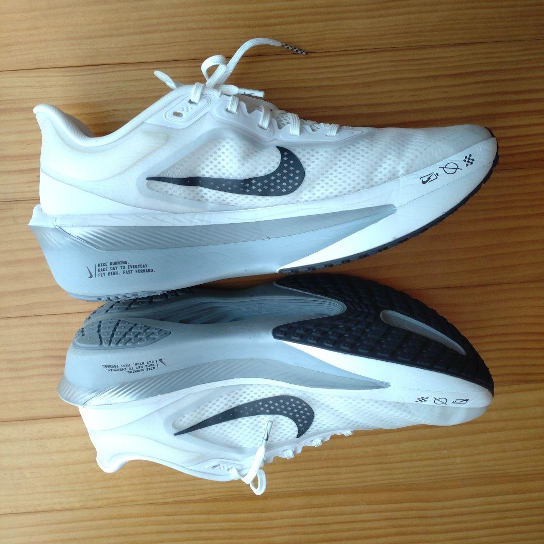 NIKE ズームフライ6 29cm