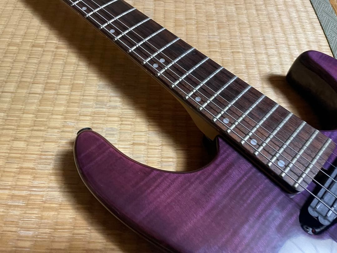 827021様用　Washburn ワッシュバーン