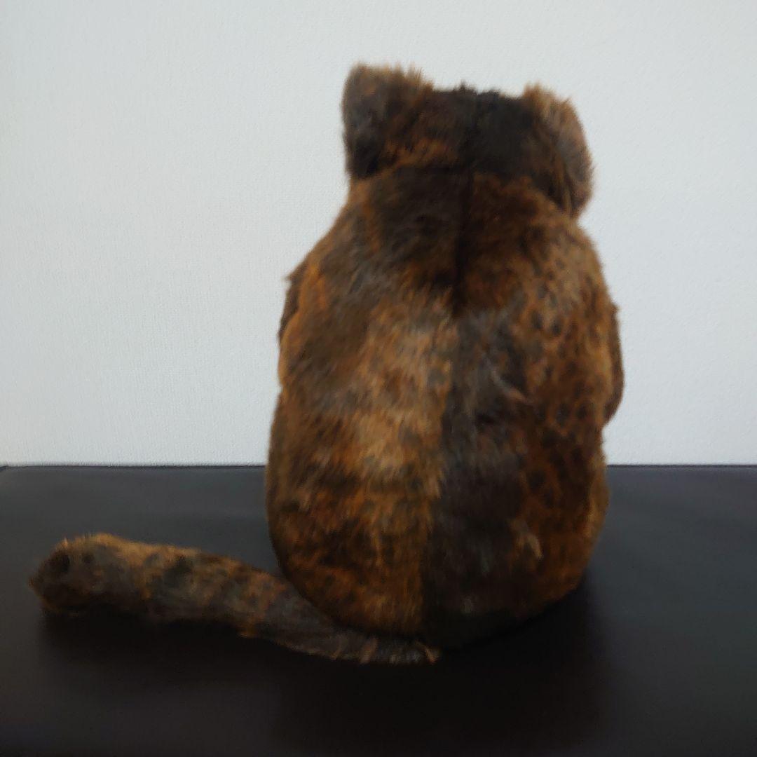 カドリー　ぬいぐるみ　ブルース