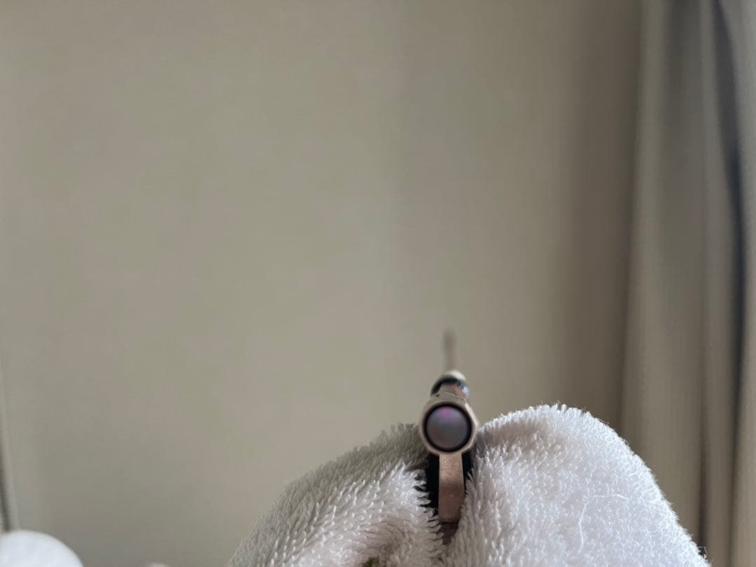 ⭐︎期間限定お値下げ中⭐︎【美品】アルシェ プルマージュ バイオリン弓4/4