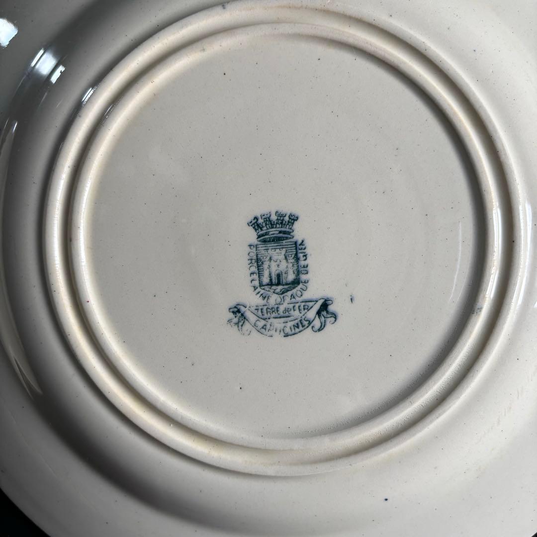 フランスアンティークプレート ナスタチウム花柄　皿2枚セット