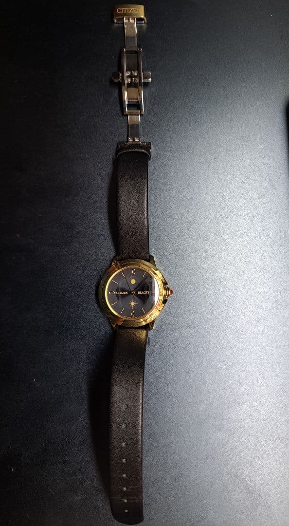 CITIZEN ウオッチ ブラッキーモデル