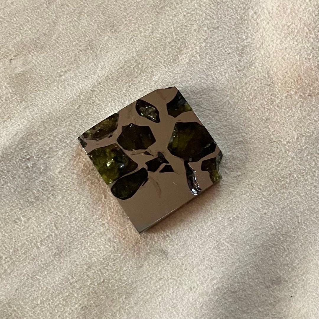 エスケル　隕石　ESQUEL パラサイト