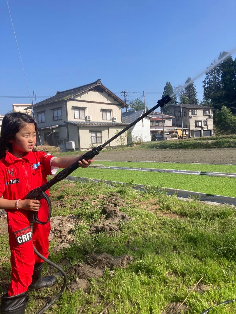 魚沼コシヒカリ精米 10kg