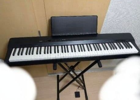 CASIO88鍵盤 電子ピアノ Privia PX-160BK ソリッドブラック