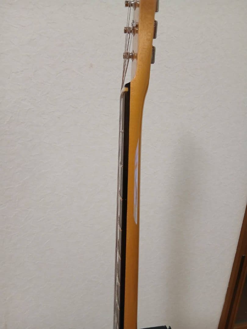 SKTOCHAN Edwards テレキャスタータイプ エレキギター