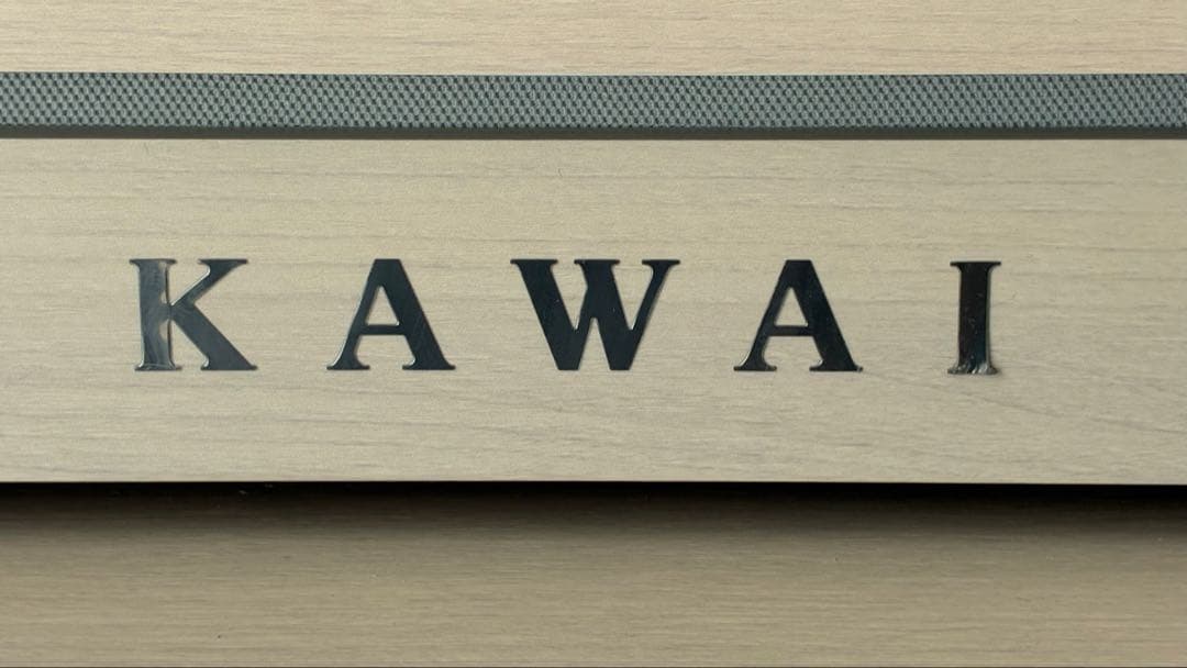 【送料込】KAWAI 電子ピアノ CA49A 【椅子は別途】