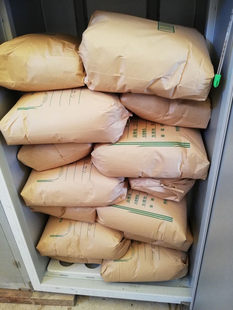 《玄米》 農家直送米　20kg 令和7年　鳥取県産 コシヒカリ《玄米》