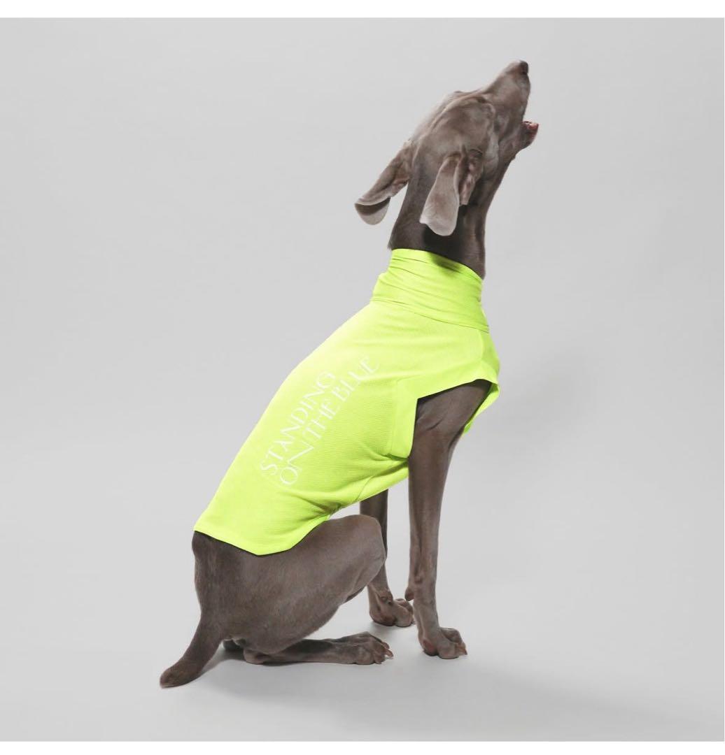 スタンディングオンザブルー　大型犬　犬服　タンクトップ