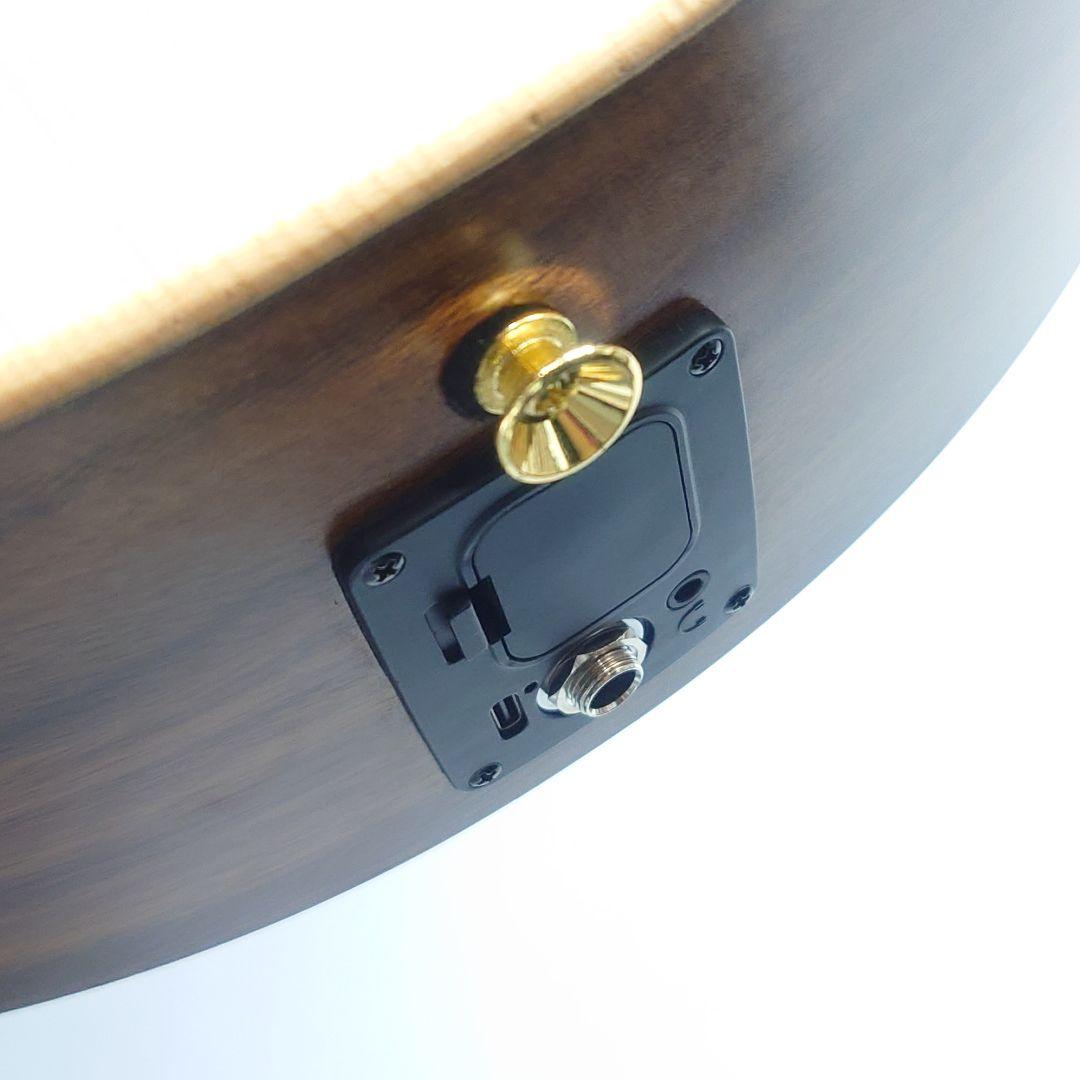 James J-300C11 SINT アコースティックギター