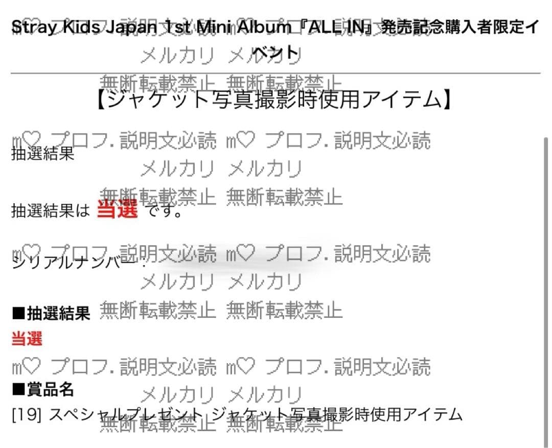 StrayKids ALL IN 直筆サイン ジャケット写真撮影時使用アイテム