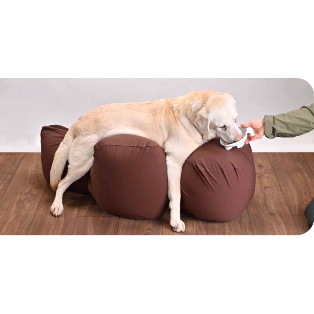 リラクッション　Lサイズ