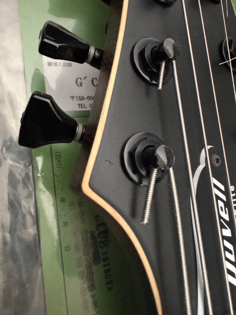 ギター Mayones Duvell Elite 7