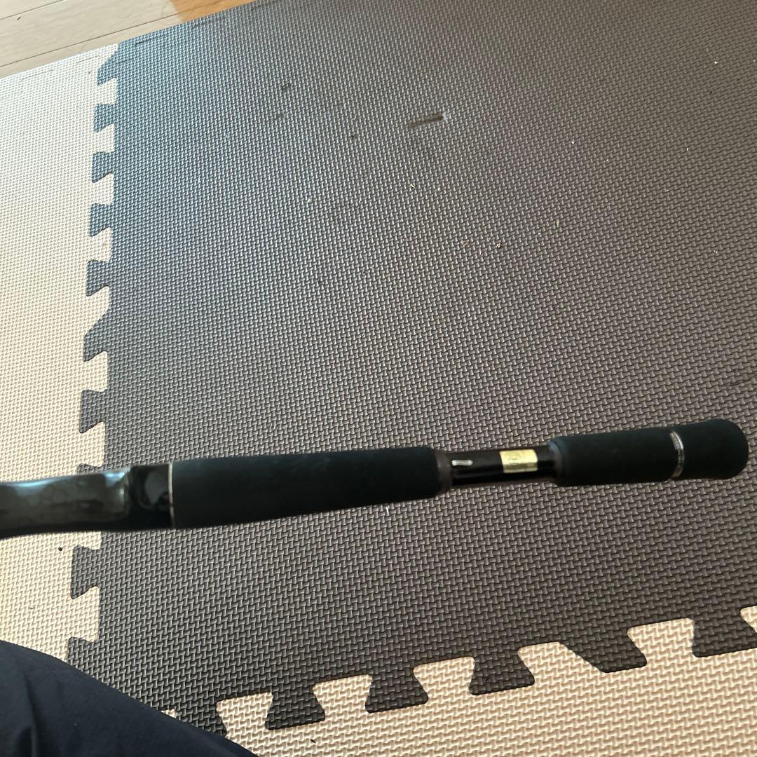 スティーズ　フロッガー