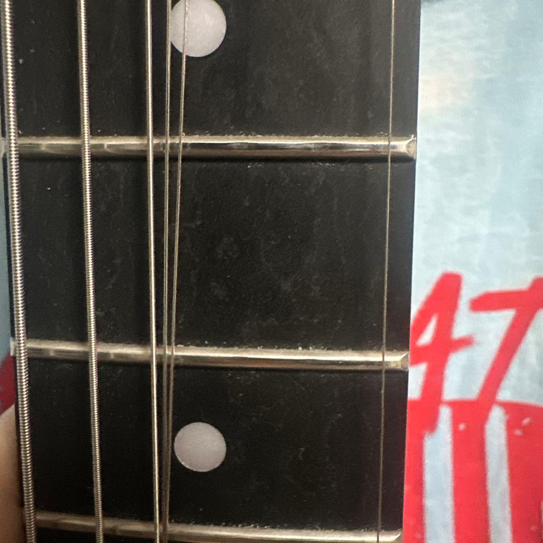 ギター bacchus btl-all black Telecaster