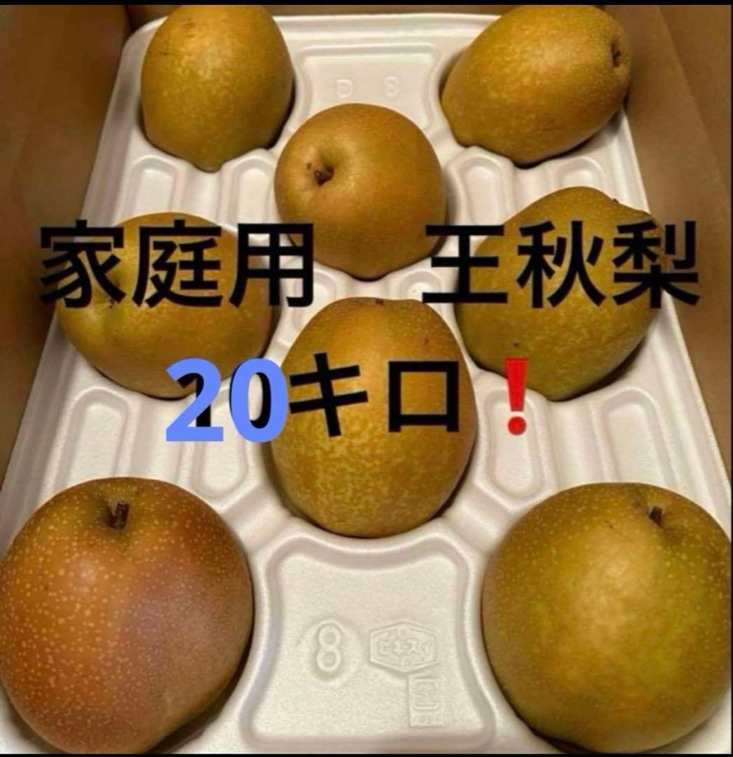 年始に　甘い　王秋梨　20kg