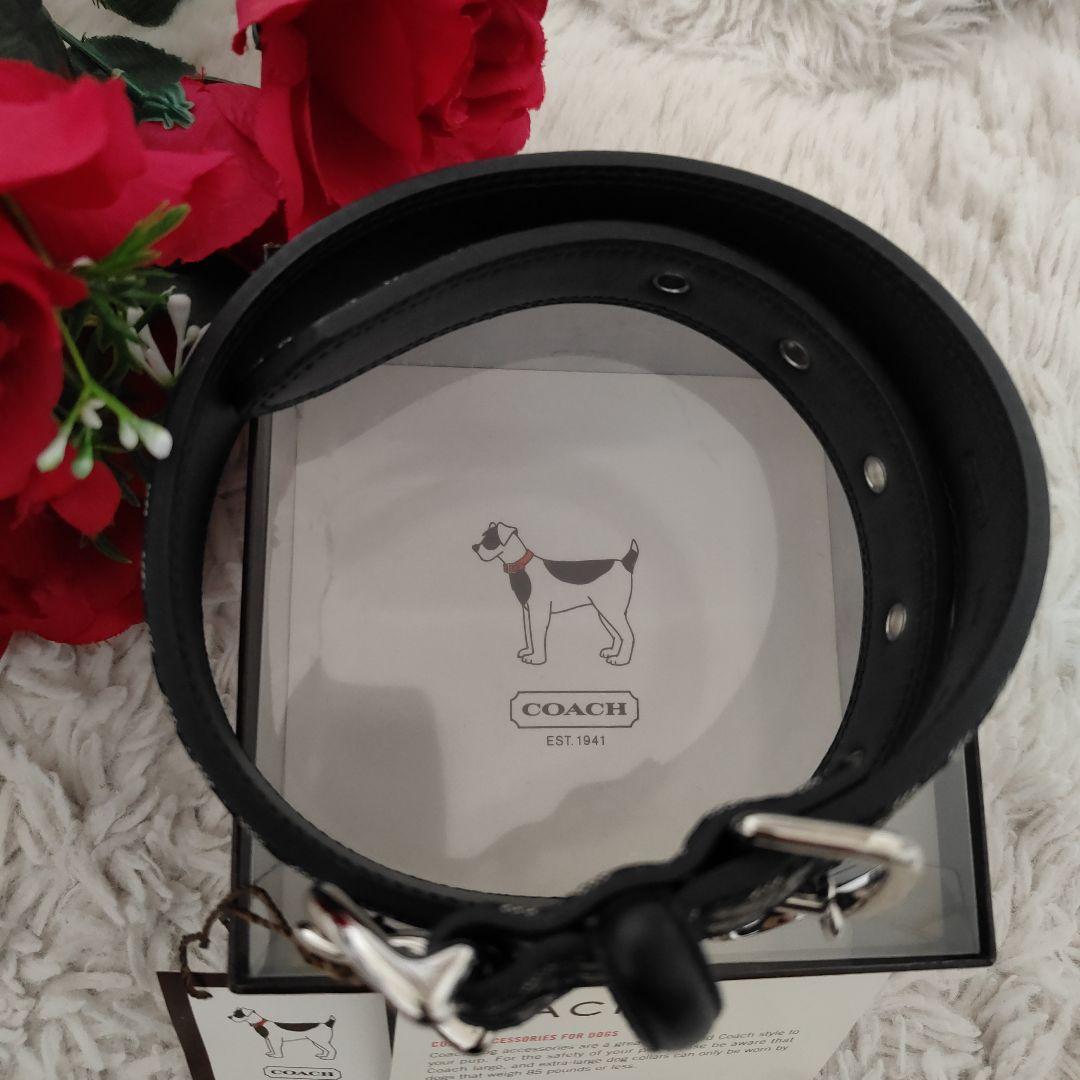 新品　COACH　コーチ 犬　首輪　レザー　中型犬　大型犬　L　シグネチャー