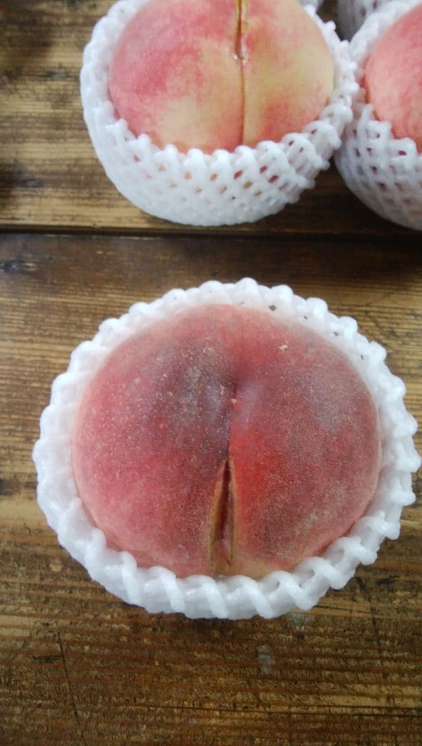 ラ　ローズさん専用　特大　桃　さくら白桃　わけあり　10kg