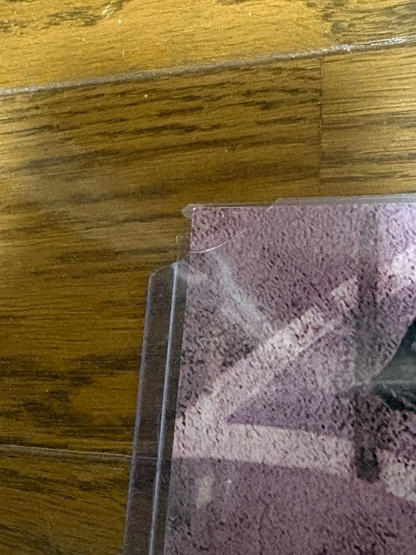 マーゴット・ロビー ハーレイ・クイン ポートレート サイン