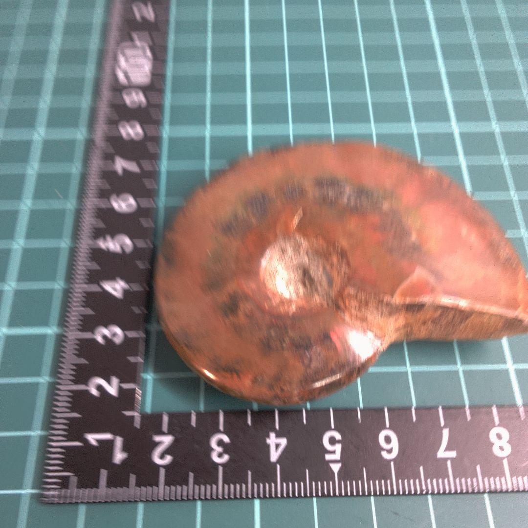 小物１ アンモナイト化石 赤褐色