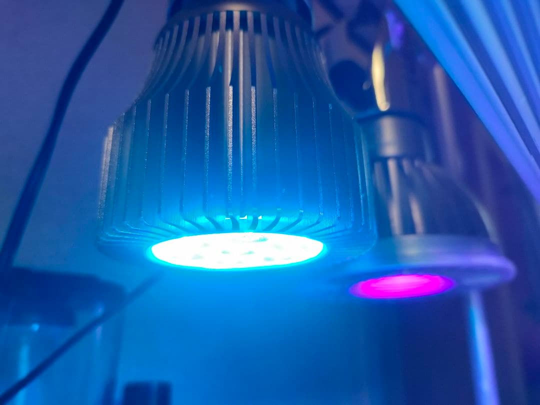 Vital Wave II シアン 9W LEDライト