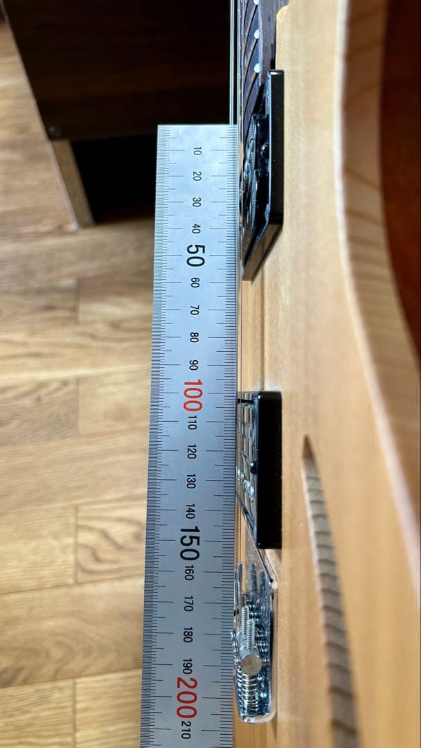 dragonfly maroon koppa コンポギター