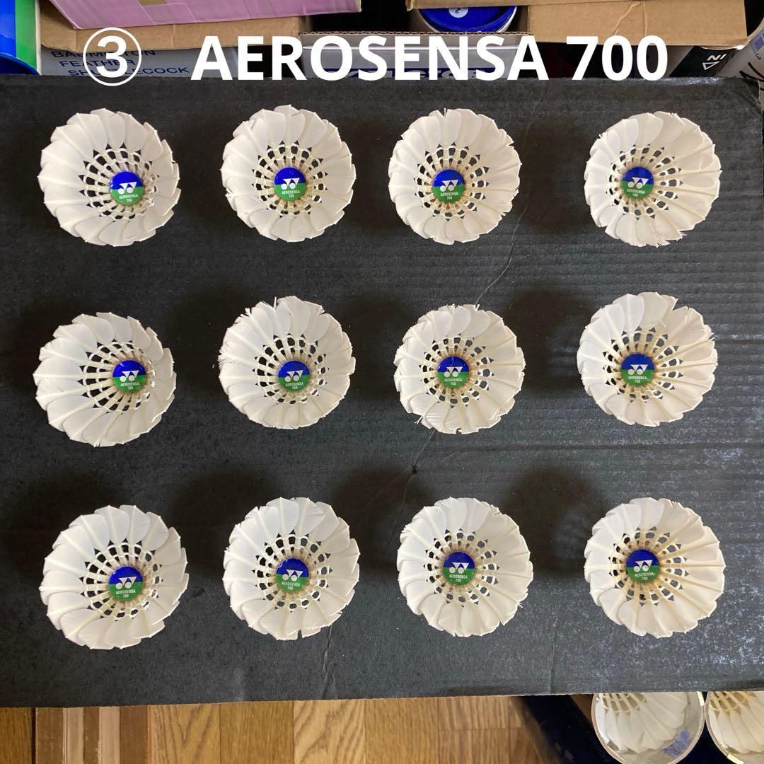 ゆうみさん確認用