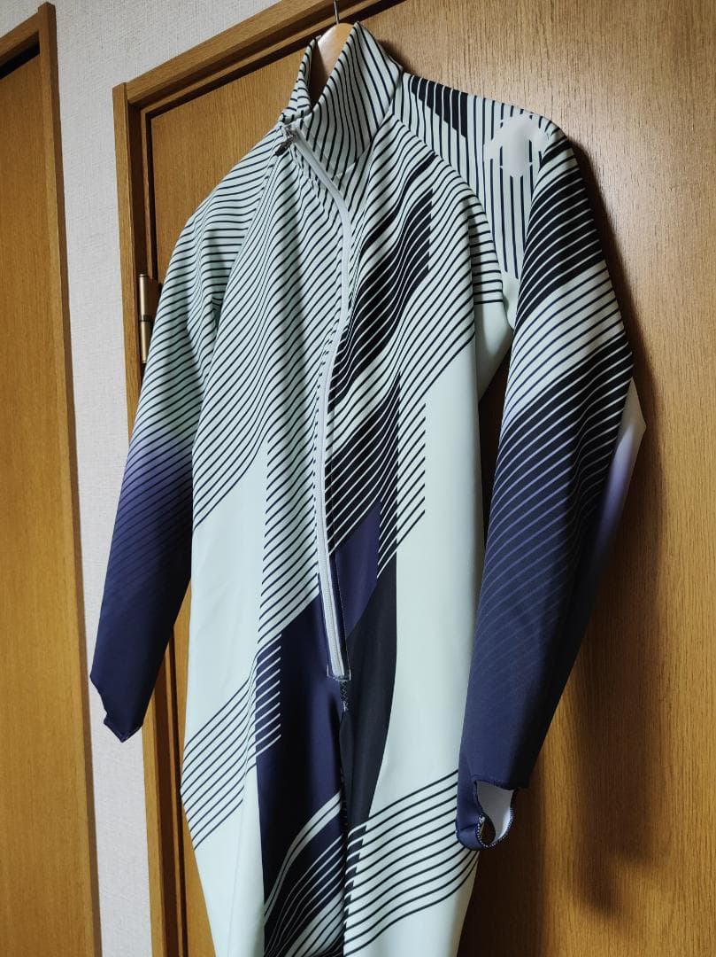 新品 25-26 デサント・オガサカチームモデル Ｌ GSワンピース FIS