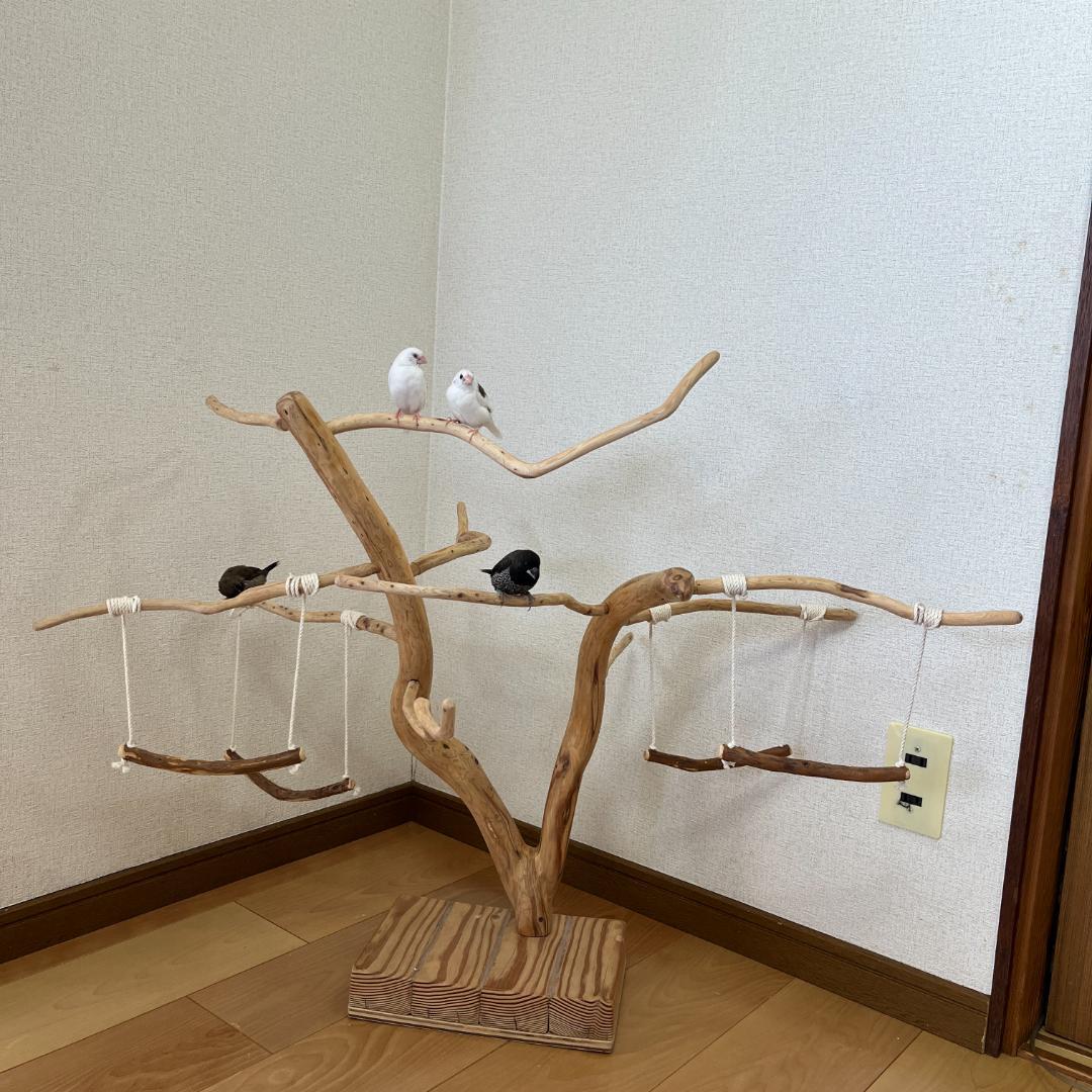 【小鳥用】ブランコ付くねくねバードアスレチック