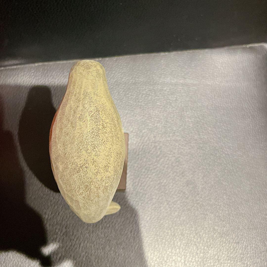 苔むす木工　ジュゴン