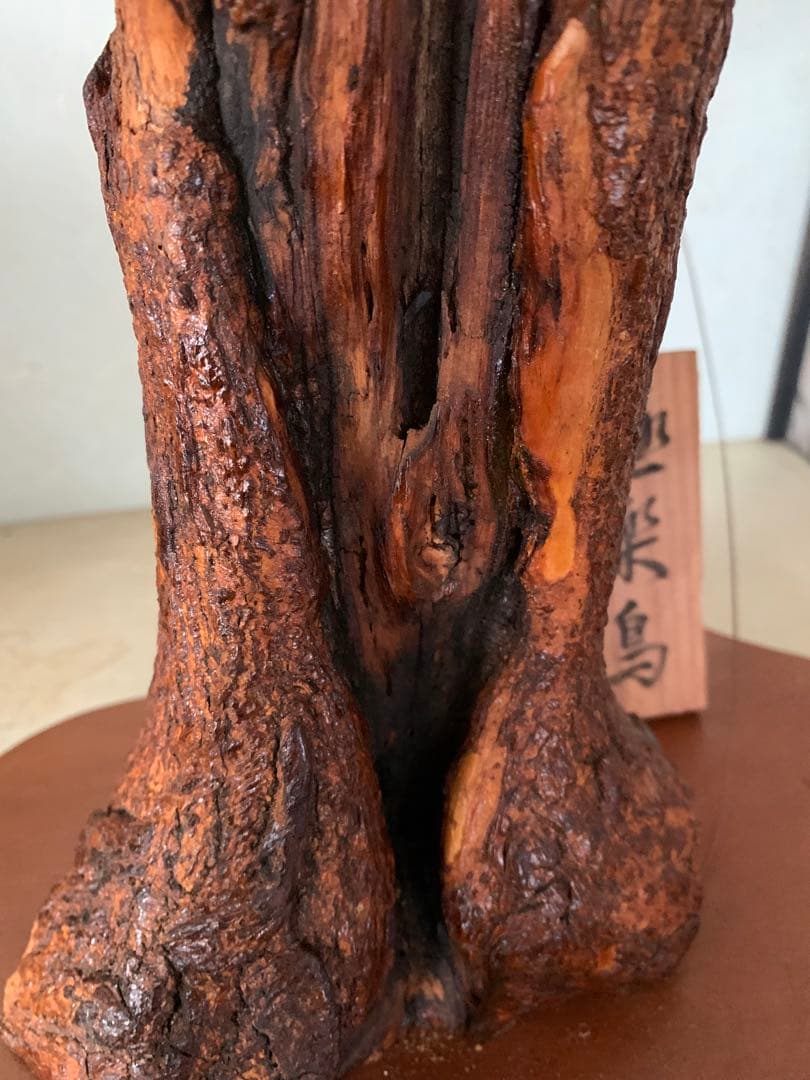 風鳥 極楽鳥 剥製 インテリア アンティーク レトロ ヴィンテージ アート