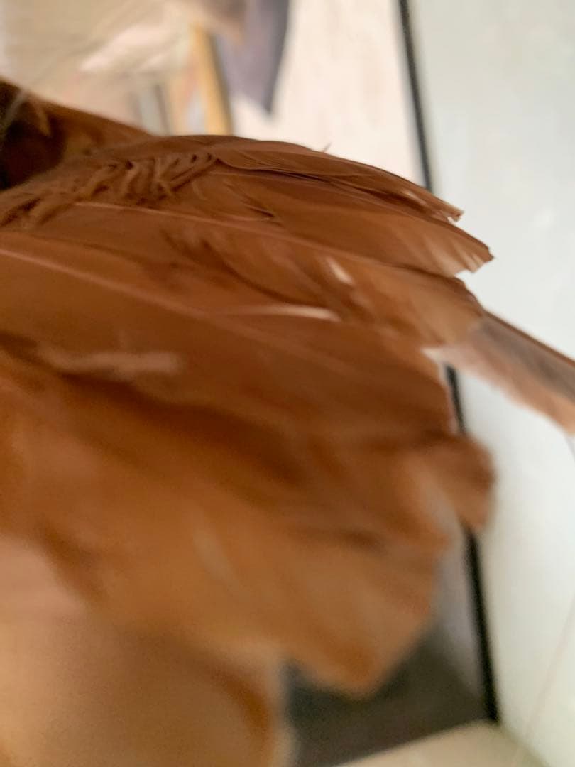 風鳥 極楽鳥 剥製 インテリア アンティーク レトロ ヴィンテージ アート