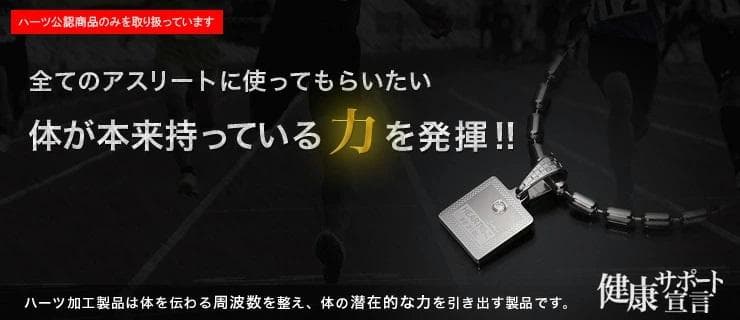 HEARTZ/ハーツ スーパーメタリックネックレス II