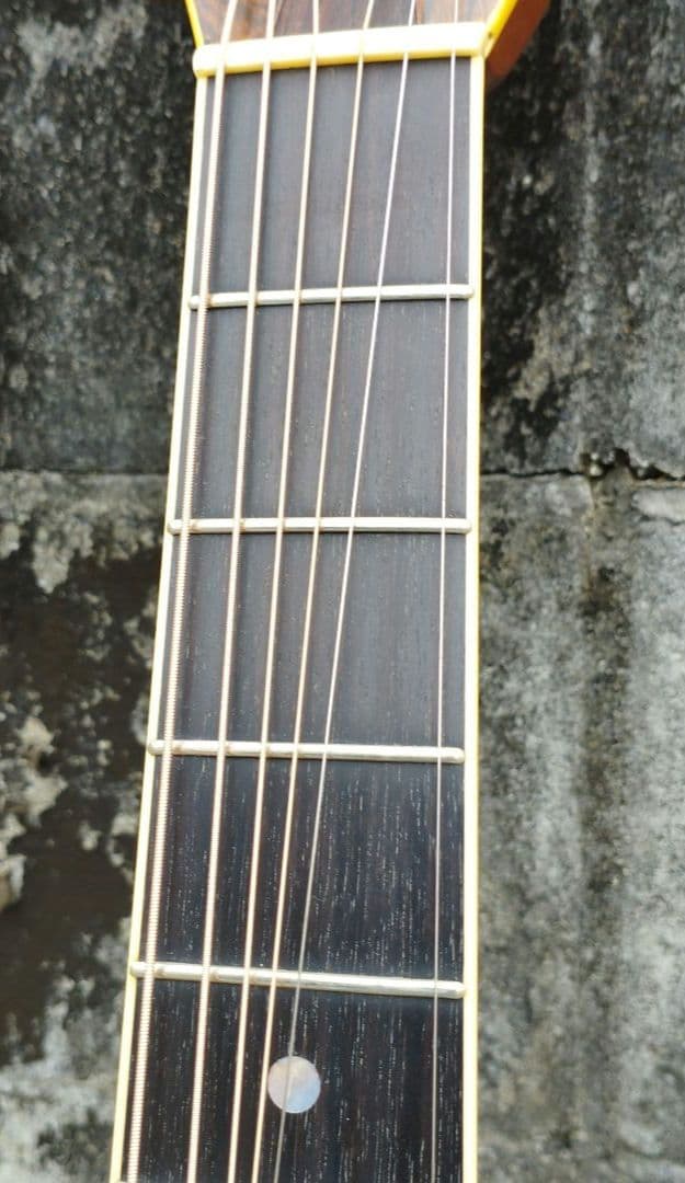 アリアドレッドノート　D80 ハカランダ　3ピースバック　送料込み