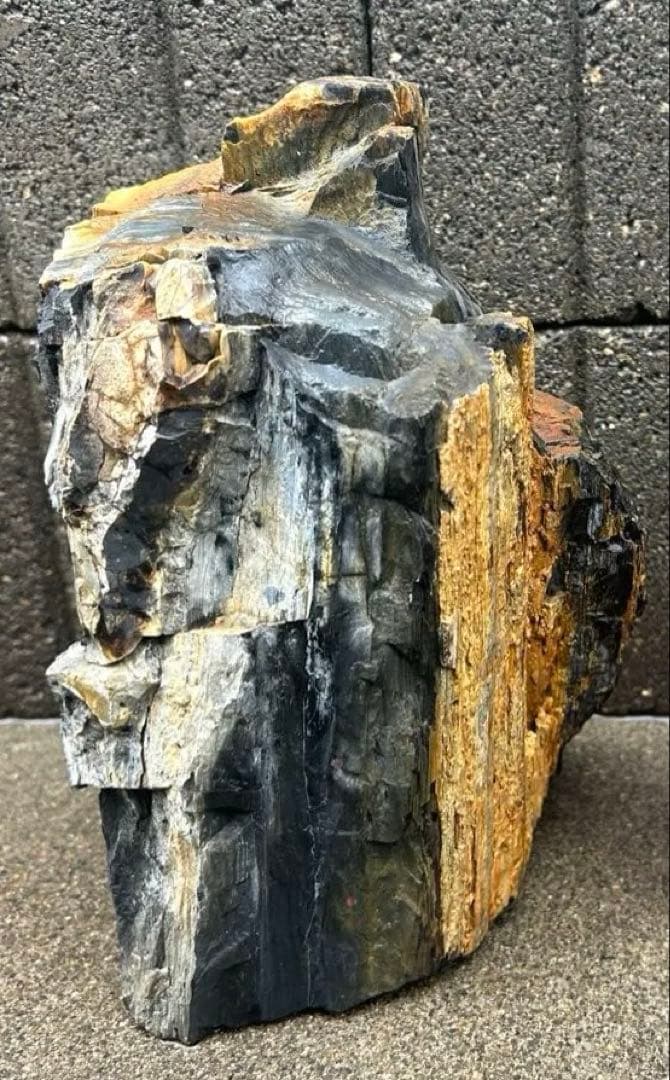 北海道 遠軽瀬戸瀬産 珪化木 5.4kg 特大 木化石 鑑賞石 置物 盆栽 水石