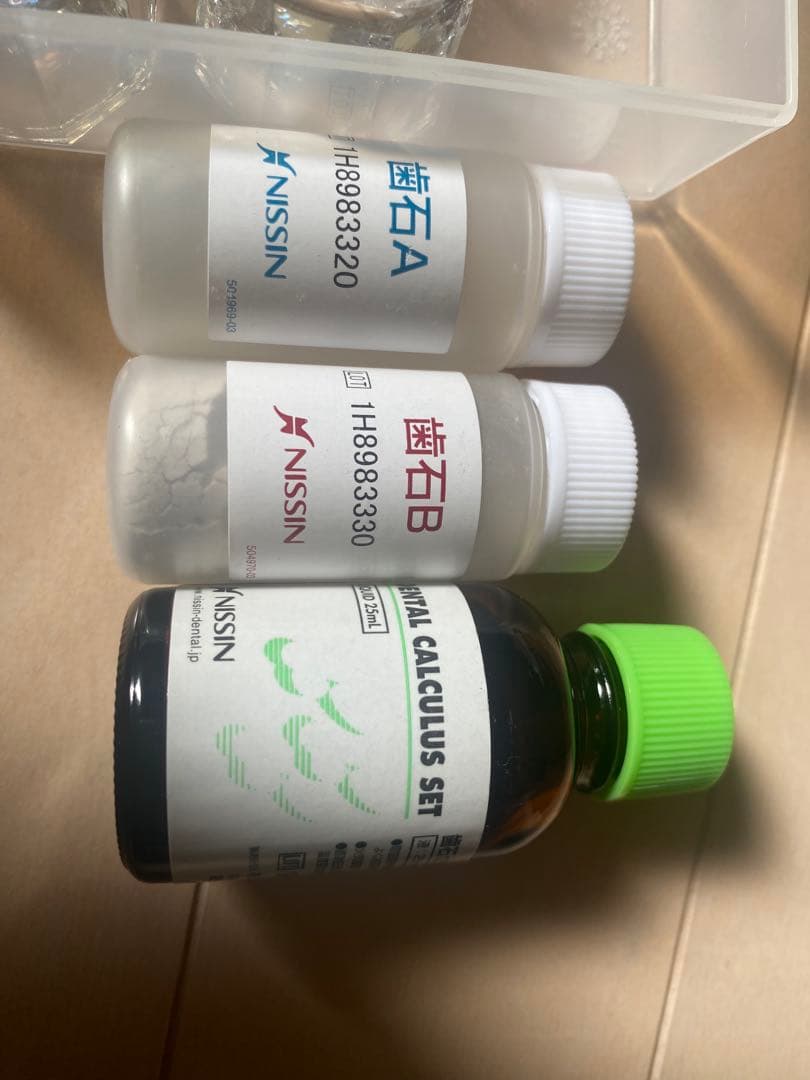 顎模型　人工歯石　セット売り　歯科