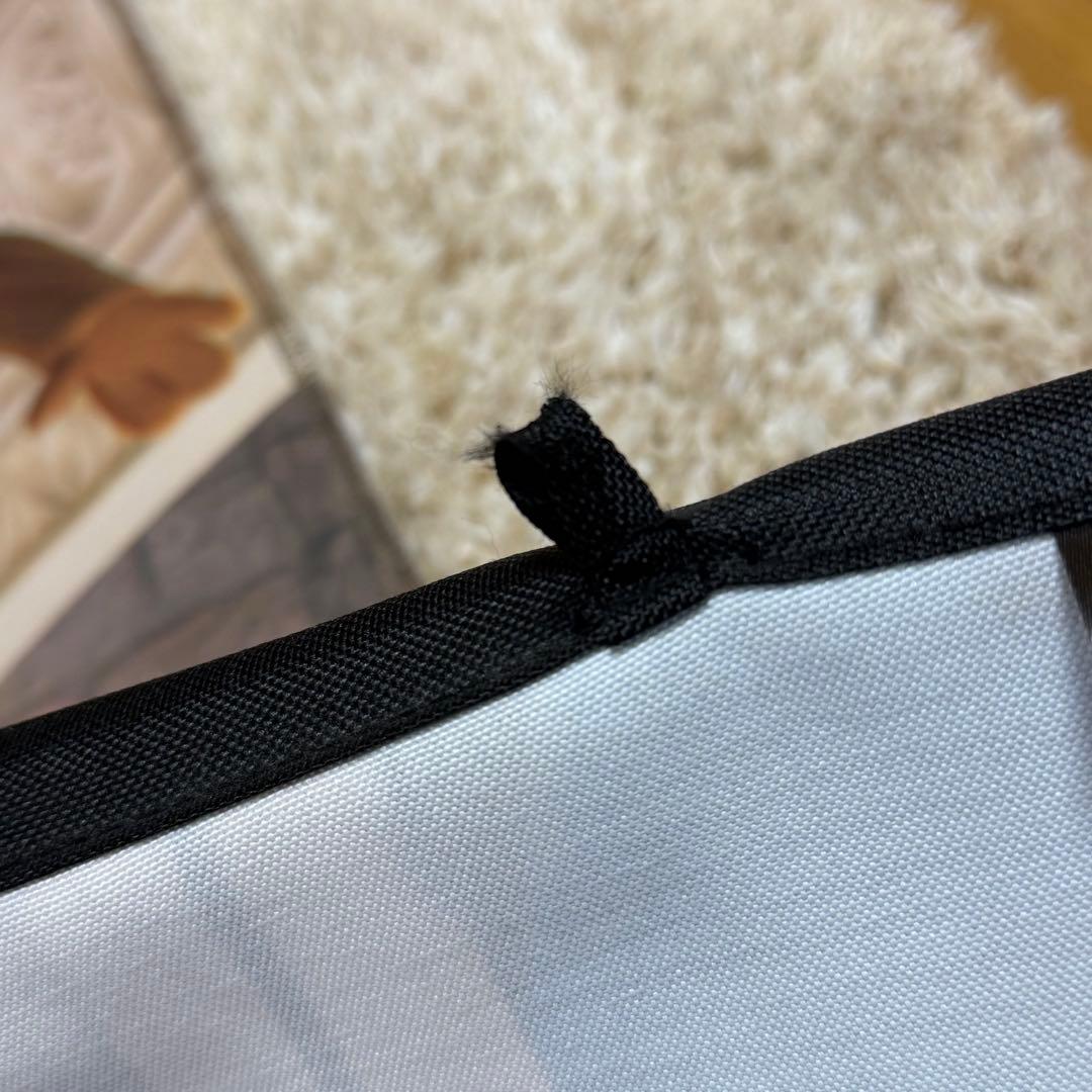 ディズニー 実写 タペストリー 篠山紀信 ミッキー ミニー ドナルド デイジー