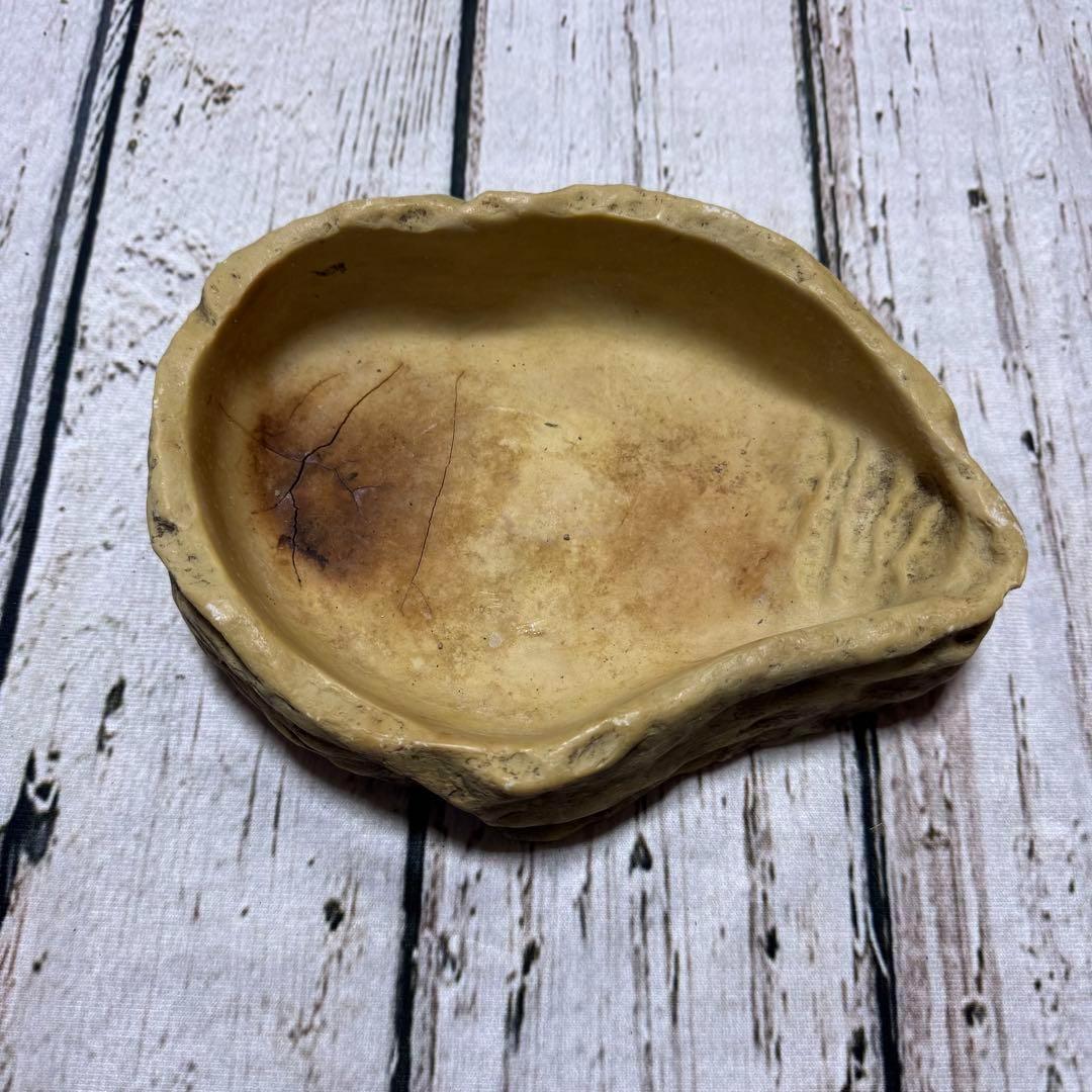 超お買い得セット　匿名配送　送料無料　飼育用品セット　餌皿　エキゾテラ　ボックス