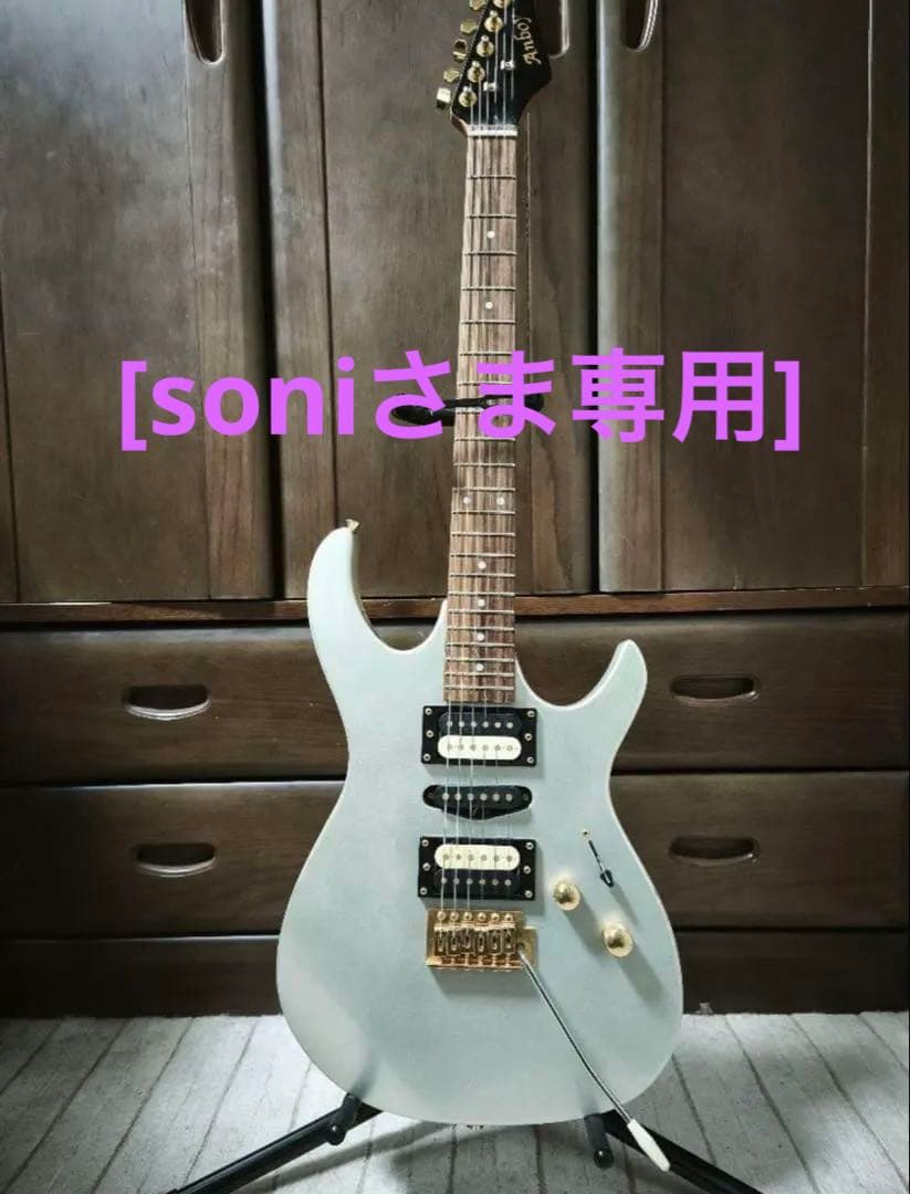 [soni]フジゲンエレキギター、ストラップ、ミニアンプ、シールド、アーム