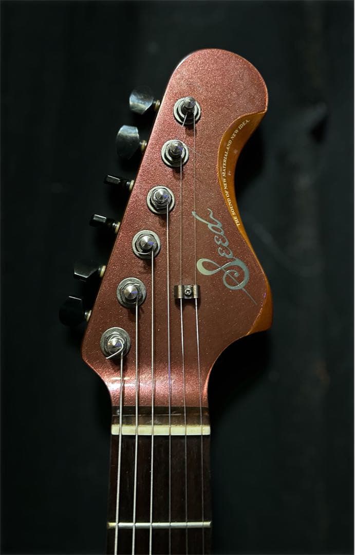 Seed エレキギター pillows真鍋シグネイチャーモデル　ジャズマスター