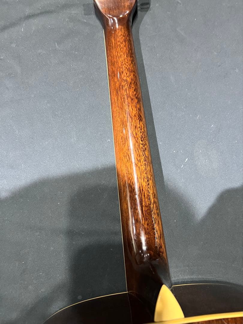 Cadenza アコースティックギター