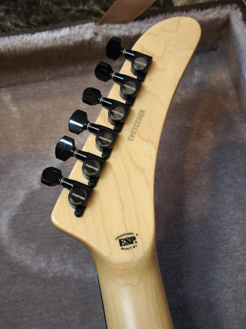 ☆彡EDWARDS E-KAMIKAZE-I ジョージ・リンチモデルとケース