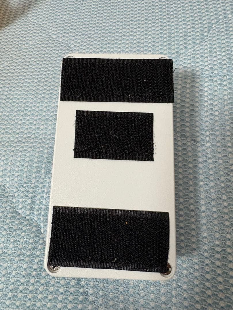 ギター ANIMALS PEDAL FISHING AS FUN AS FUZZ